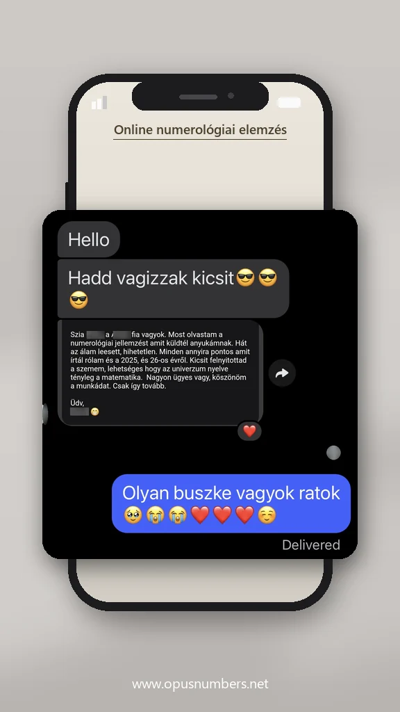 Ügyfélvélemény a numerológiai elemzésről (üzenet képernyőképe) – 10. / 38