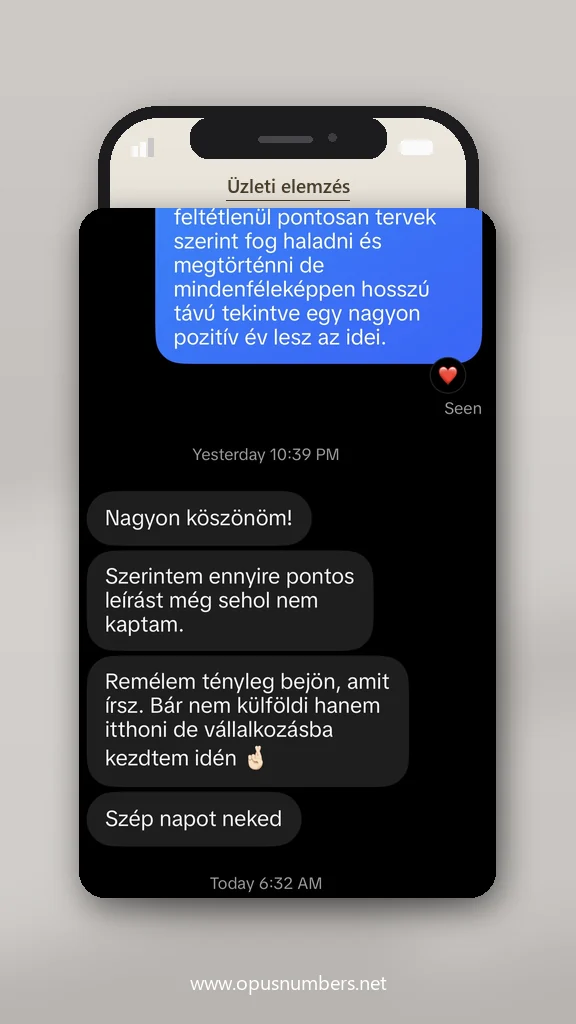 Ügyfélvélemény a numerológiai elemzésről (üzenet képernyőképe) – 13. / 38