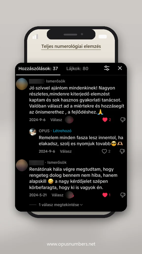 Ügyfélvélemény a numerológiai elemzésről (üzenet képernyőképe) – 34. / 38
